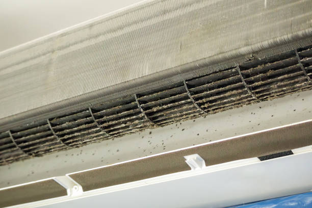Best Air Duct Cleaning Near Me  in Greensburg, LA